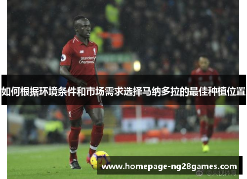 如何根据环境条件和市场需求选择马纳多拉的最佳种植位置