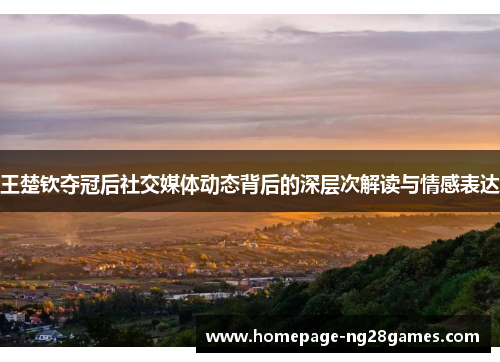 王楚钦夺冠后社交媒体动态背后的深层次解读与情感表达