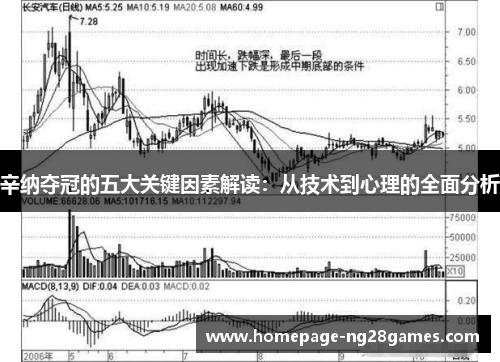 辛纳夺冠的五大关键因素解读：从技术到心理的全面分析