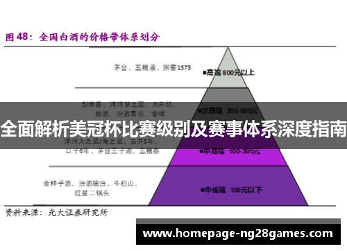 全面解析美冠杯比赛级别及赛事体系深度指南