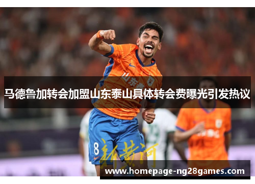 马德鲁加转会加盟山东泰山具体转会费曝光引发热议
