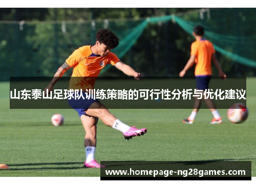 山东泰山足球队训练策略的可行性分析与优化建议